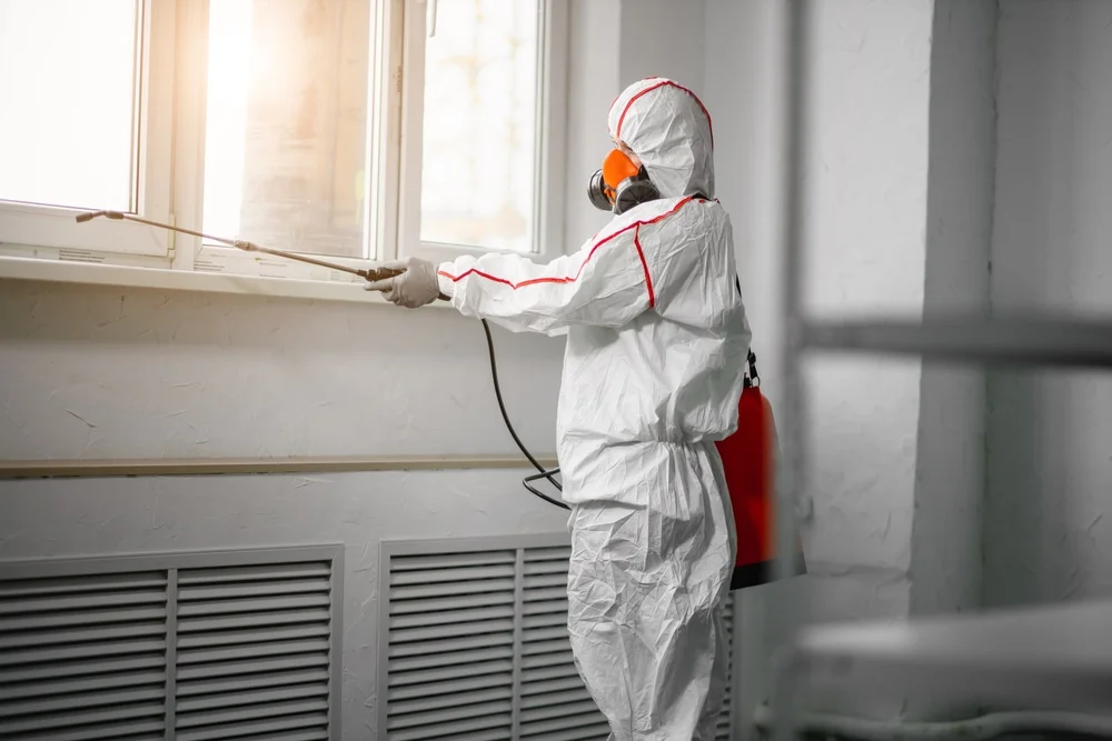 Professional mold remediation services in Sumas, WA